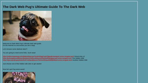 screenshot of The Dark Web Pug - jgwe5cjqdbyvudjqskaajbfibfewew4pndx52dye7ug3mt3jimmktkid.onion.jump.black